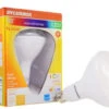 Sylvania LED 13W 900 Lumens Lightbulb -Imperial Black Shop 90315689 01 84272.1673453830