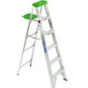 Werner 6' Single Sided Step Ladder With Pail Shelf -Imperial Black Shop 96815195 73380.1673454167